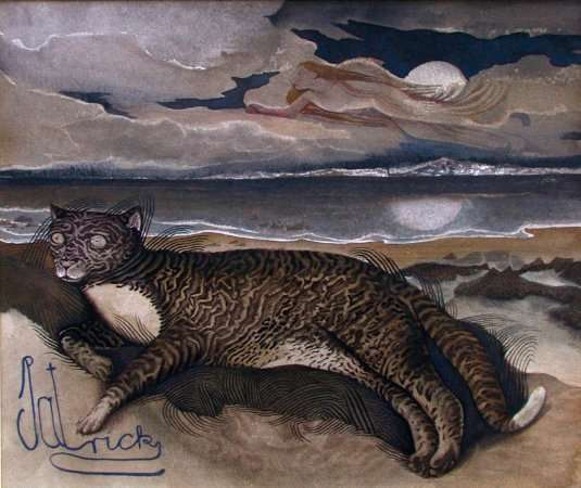 Cat in the Moonlight